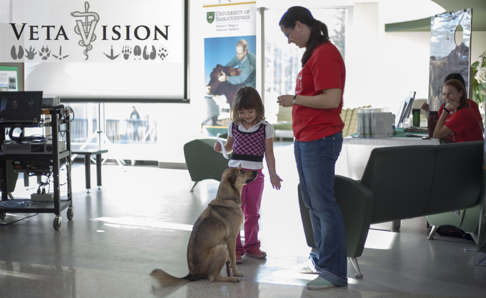 Vetavision | WCVM | University of Saskatchewan